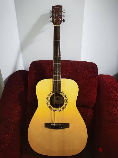 Cort acoustic guitar 2