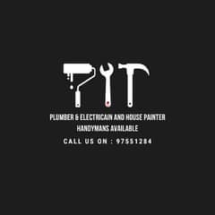 professional plumber electrician and wall painters available