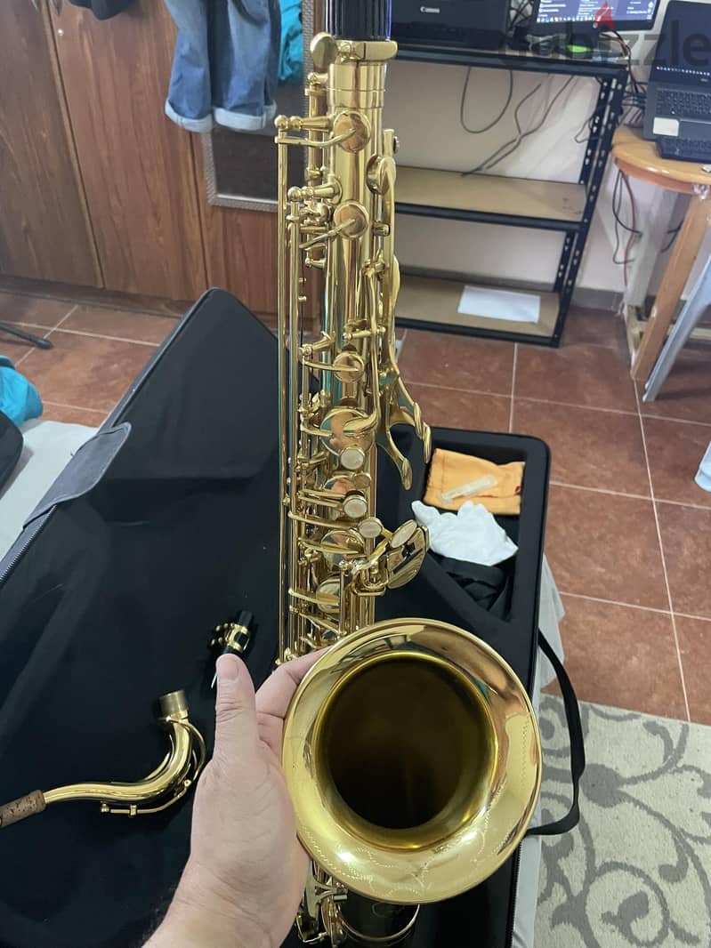 Saxophone - Alto 3