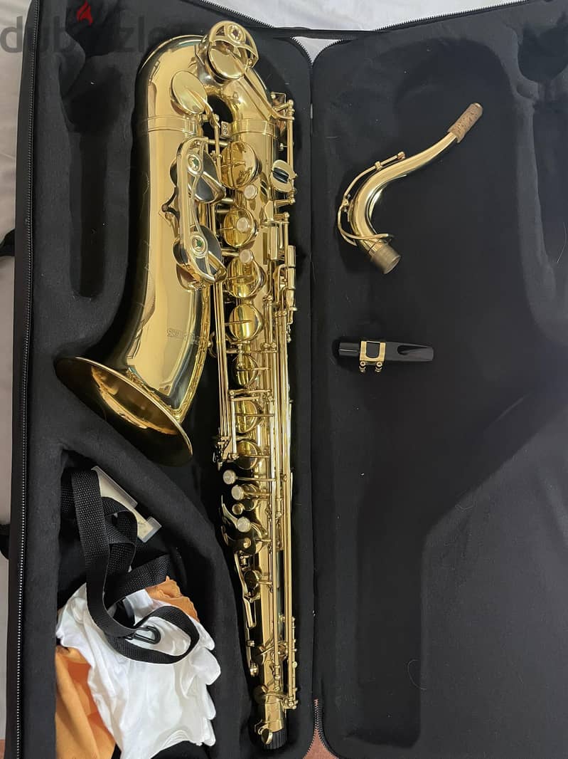 Saxophone - Alto 7