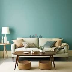 professional painters for apartment and villa