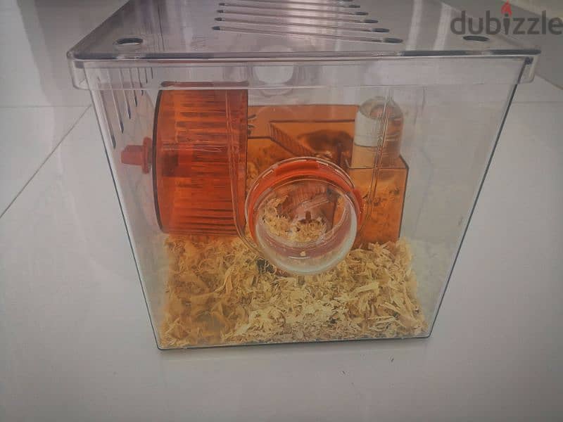 Hamster with cage for sale 0