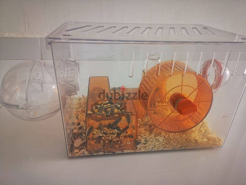 Hamster with cage for sale 1