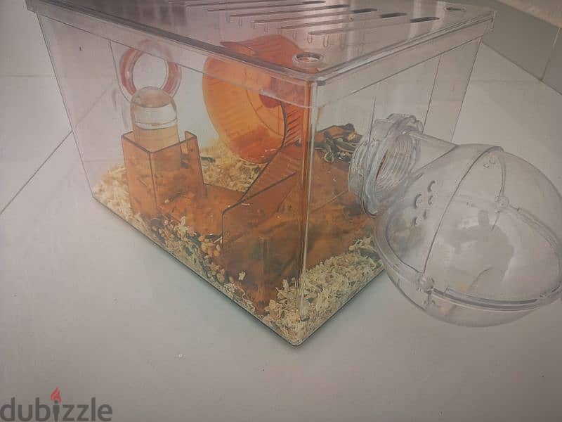 Hamster with cage for sale 4