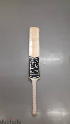GM hard balls cricket bat