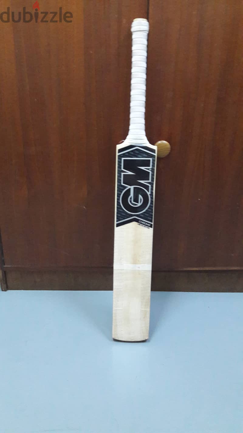 GM hard balls cricket bat 1
