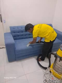 professional sofa / carpet deep cleaning services 0