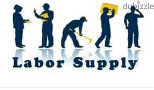 labour supply company 0