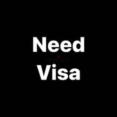 I'm a freelancer and need visa