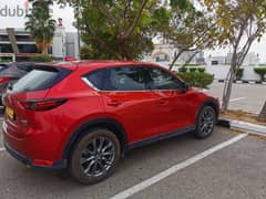 CX5(Platinum),