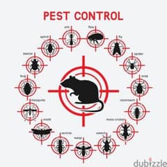 Pest control services and house cleaning up