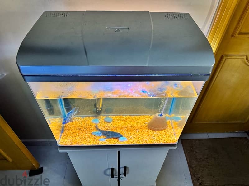 Fish Tank for Sale 1