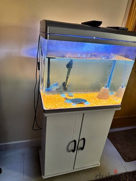 Fish Tank for Sale 2