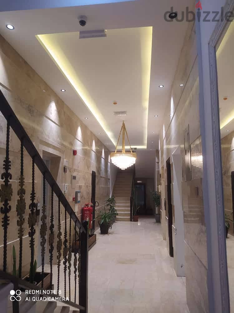 Apartment for Rent: Full Furnished Apartment Available on OLX 3