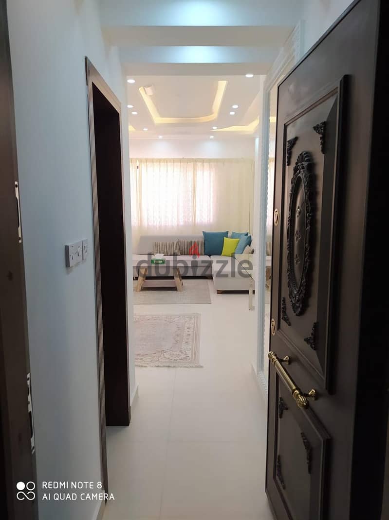 Apartment for Rent: Full Furnished Apartment Available on OLX 12