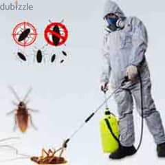 Pest control services and house cleaning up 0