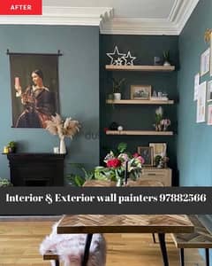 professional wall painters and door painting