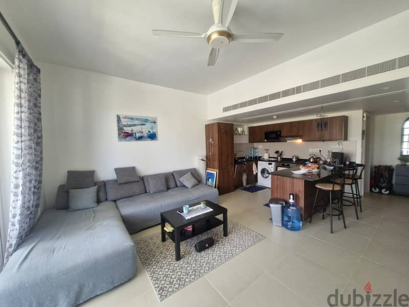 1 BR Amazing Freehold Fully Furnished Apartment in Jebel Sifa 4