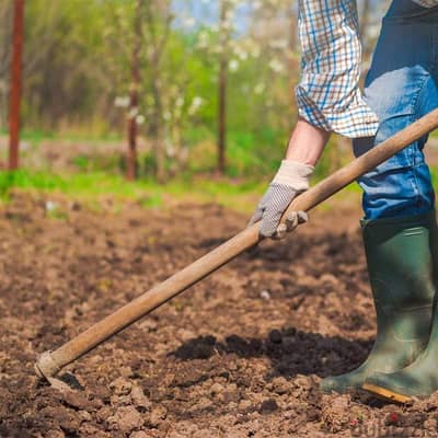 Natural Soil and Stones Available for Gardening Landscape Work