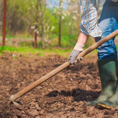 Natural Soil and Stones Available for Landscape Garden