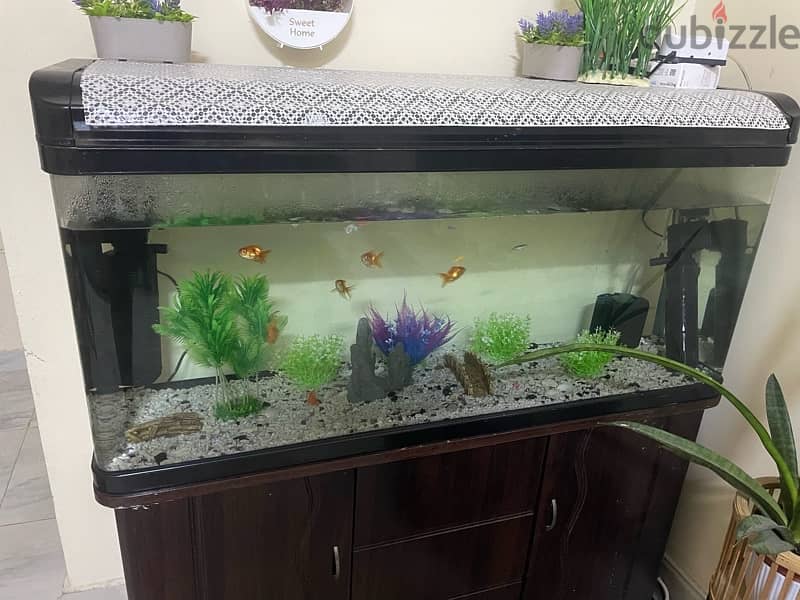 Fish tank for sale 2