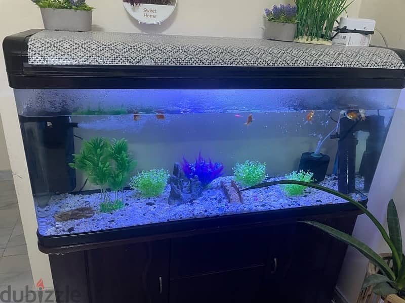 Fish tank for sale 3
