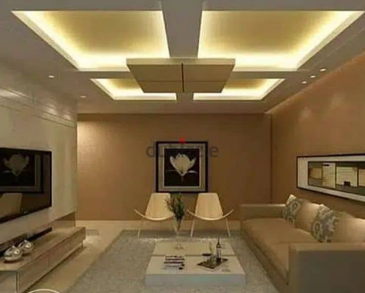 all type  gypsum ceiling designing paint electrician work 1