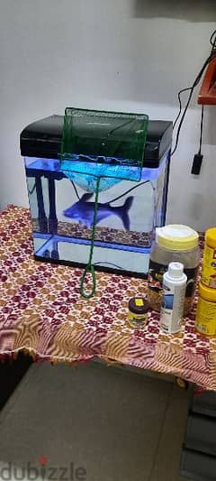fish tank with fish and accessories