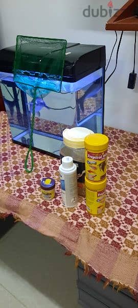 fish tank with fish and accessories 1