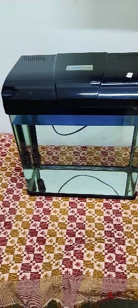 fish tank with fish and accessories 2