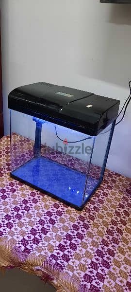 fish tank with fish and accessories 3
