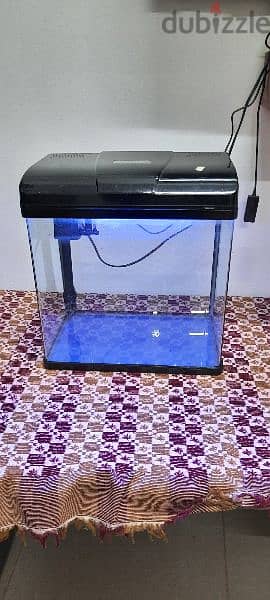 fish tank with fish and accessories 7