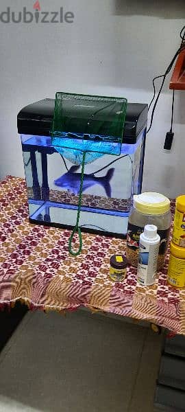 fish tank with fish and accessories 9