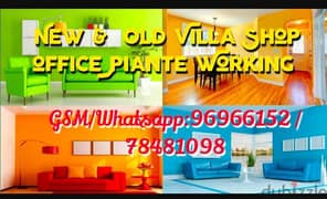Professional paint and villa shop for office