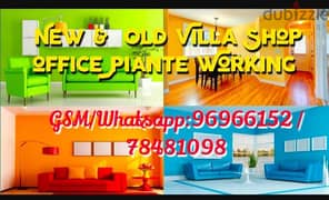 Professional paint and villa shop and office