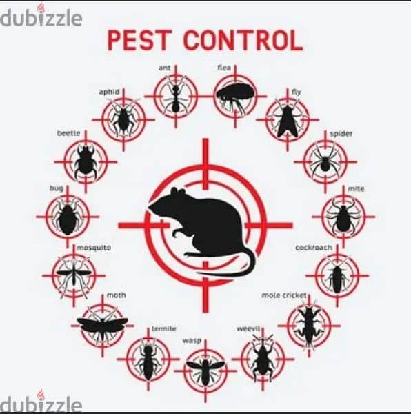 Royal pest control service 3