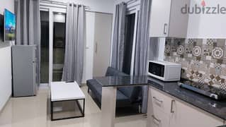 BRAND NEW FURNISHED 1 BHK Seaside. 0