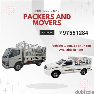 professional moving services reasonable price hshsh