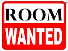 Need 1 Single Room for executive bechlor  (Male) in Ghala