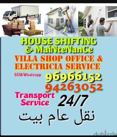 professional paint and villa shop and office