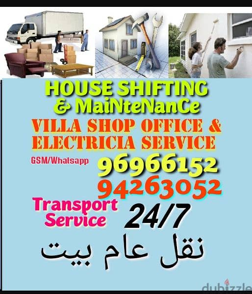professional paint and villa shop and office 0