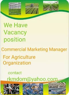 commercial/Marketing manager  agricultural organization 0