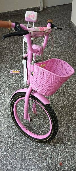 Girls bicycle suitable for 6 to 10 years girls 1