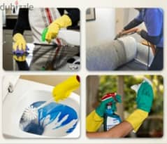 best house cleaning services 0
