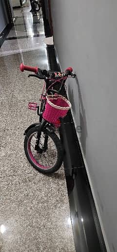 Girl Cycle - kids 7 to 9 years