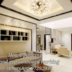 House gypsum board working and painting service 0