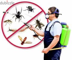 Pest control service and house cleaning service