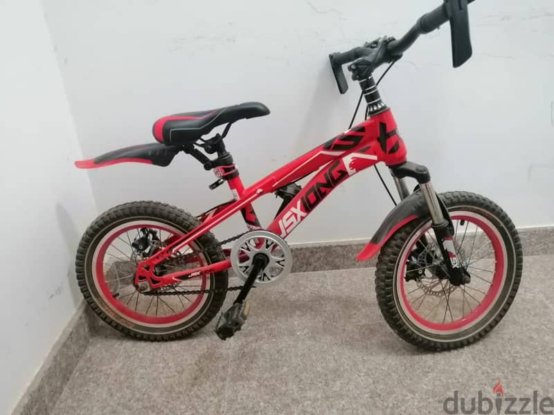 Red Black Kid Mountain Bike / Bicycle 2