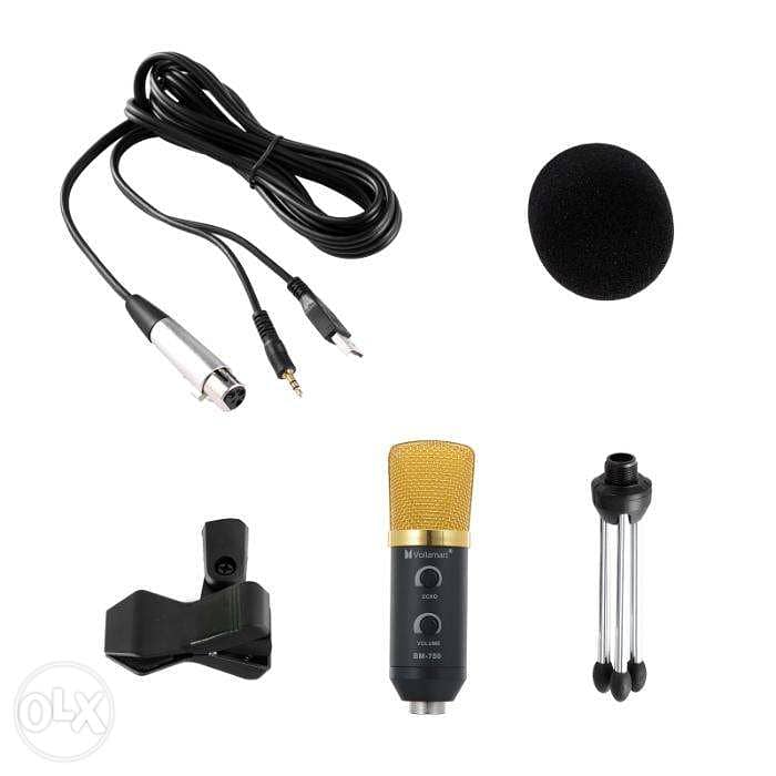 BM750 Condenser Microphone Studio Audio Broadcast Sound Recording 2