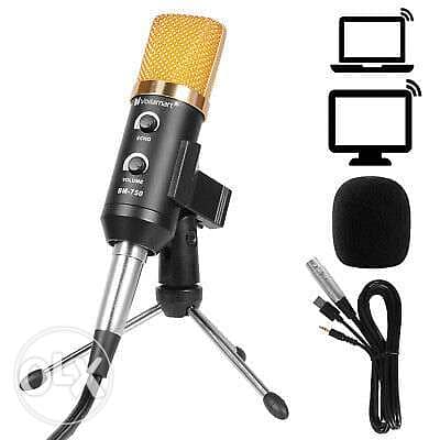 BM750 Condenser Microphone Studio Audio Broadcast Sound Recording 3